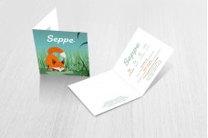 Spelend vosje Spelend vosje